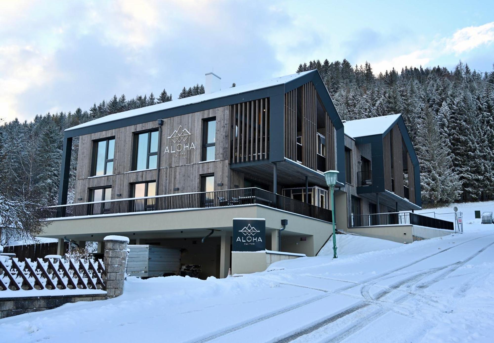 Apartment Aloha 1 Haus im Ennstal